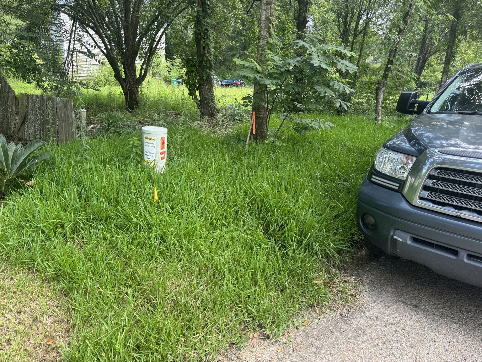 Before lawn care service