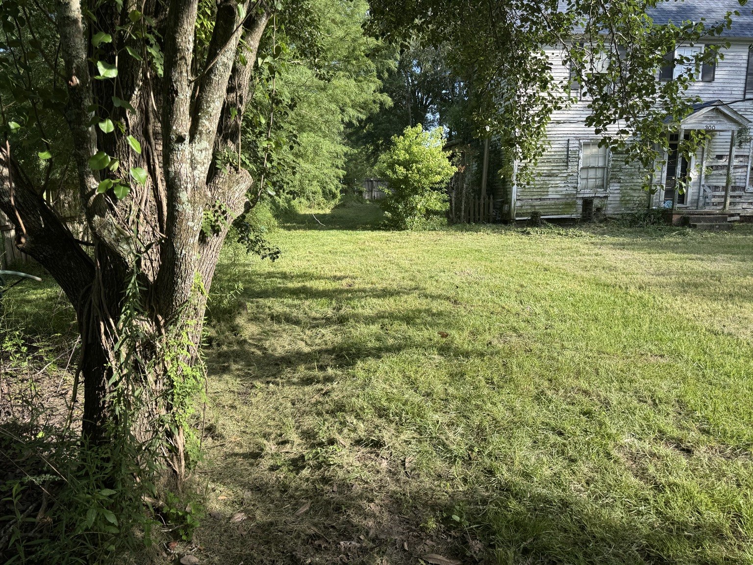 Project 2 after lawn care