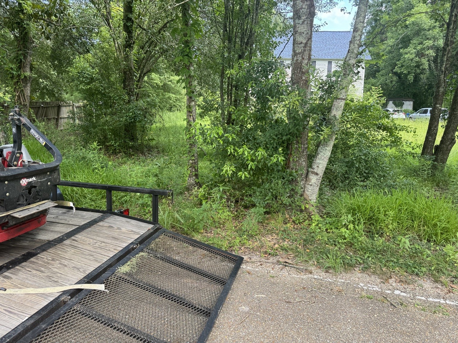 Project 2 before lawn care
