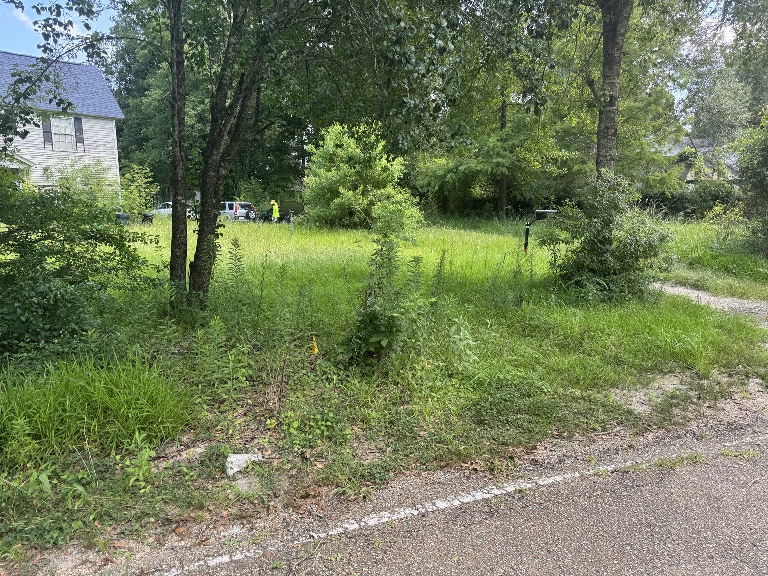 Before lawn care service