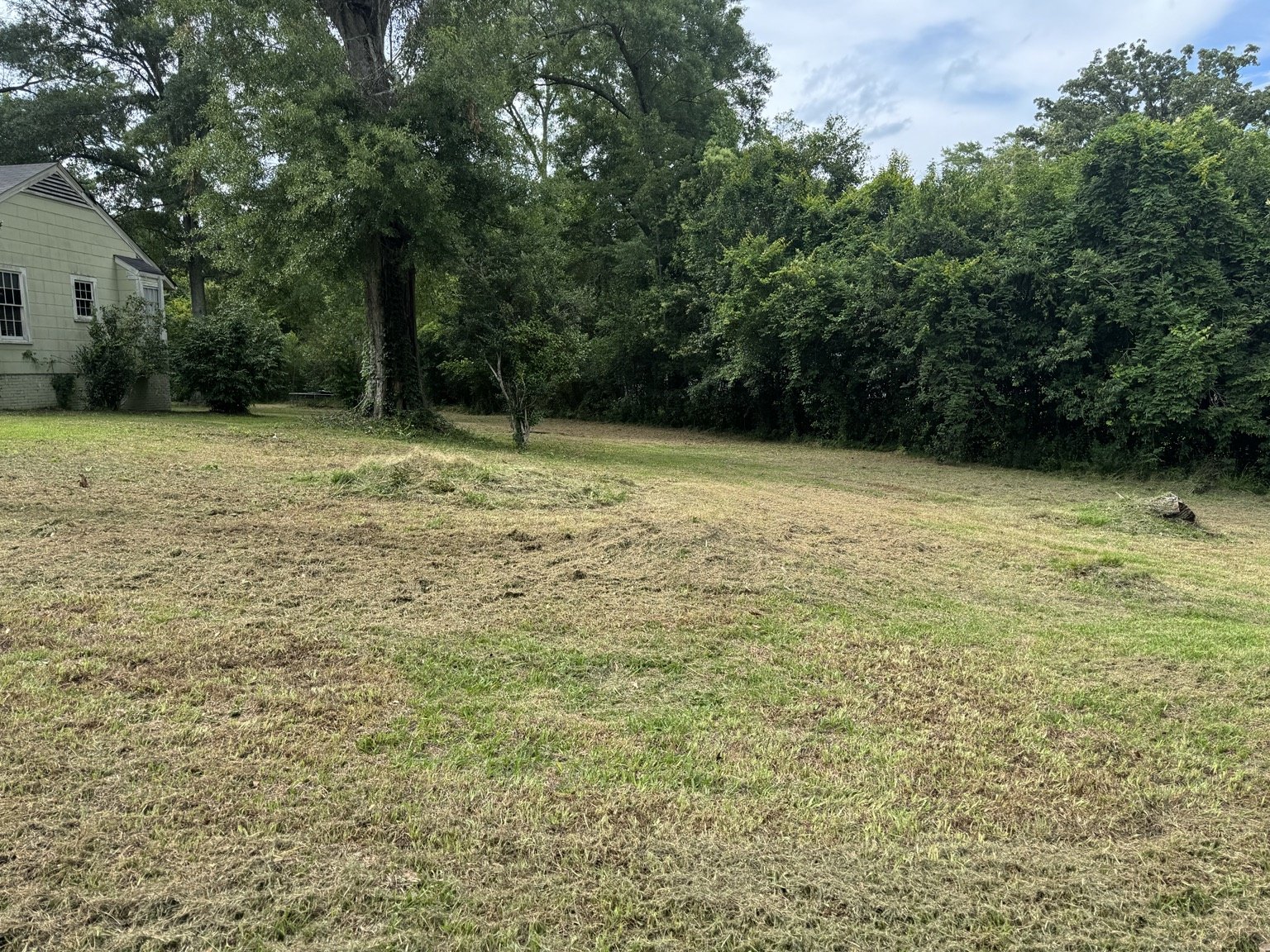 Lawn after Wess Lawn Care service