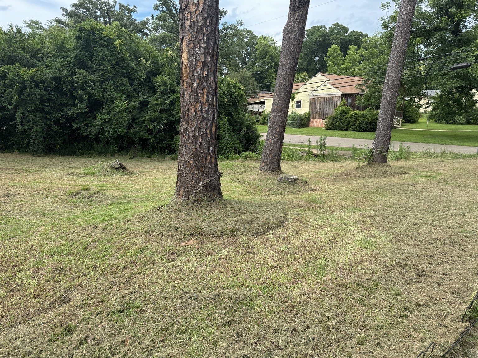 Lawn after Wess Lawn Care service
